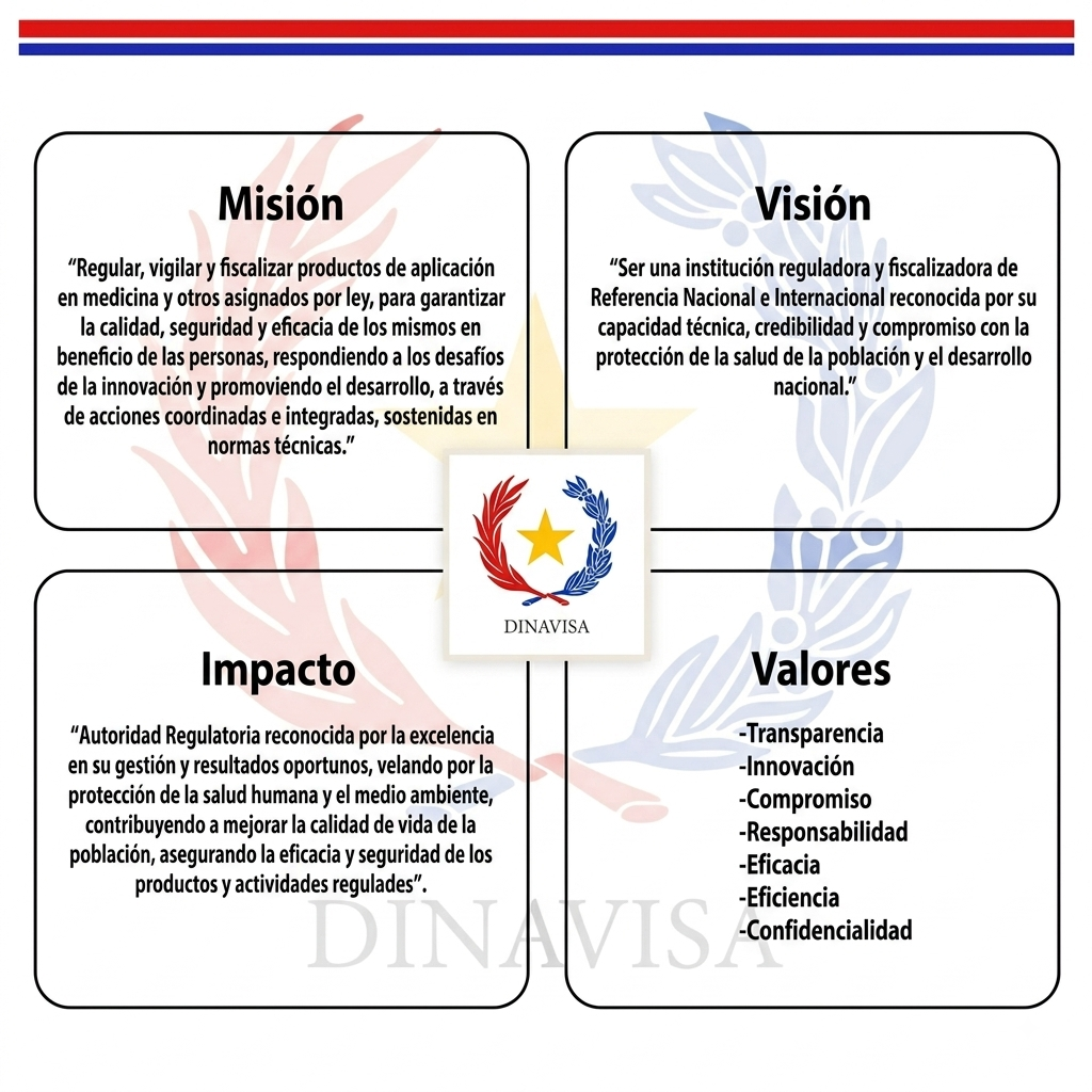 Misión, Visión, Impacto y Valores - DINAVISA